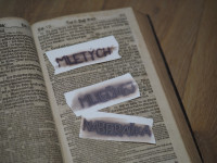 /album/noc-s-andersenom-slizolabacik/p1010001-stredne-jpg/